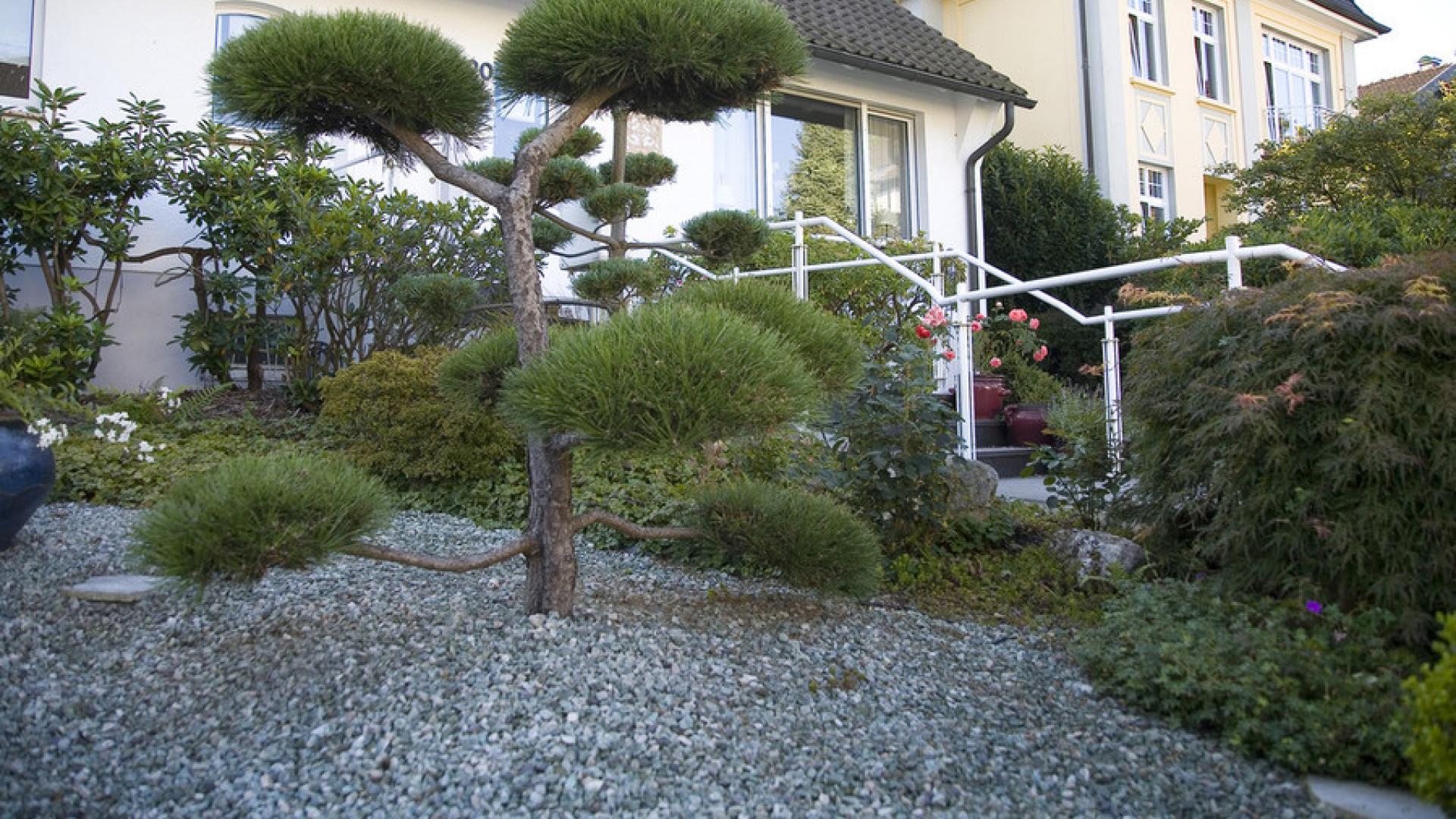 OWCA Garten- und Landschaftsbau