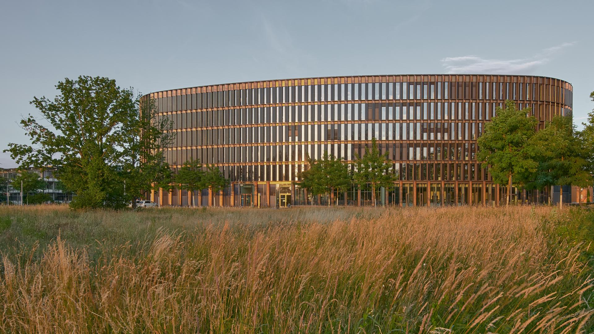 Aufnmahne eines Freiburger Rathauses