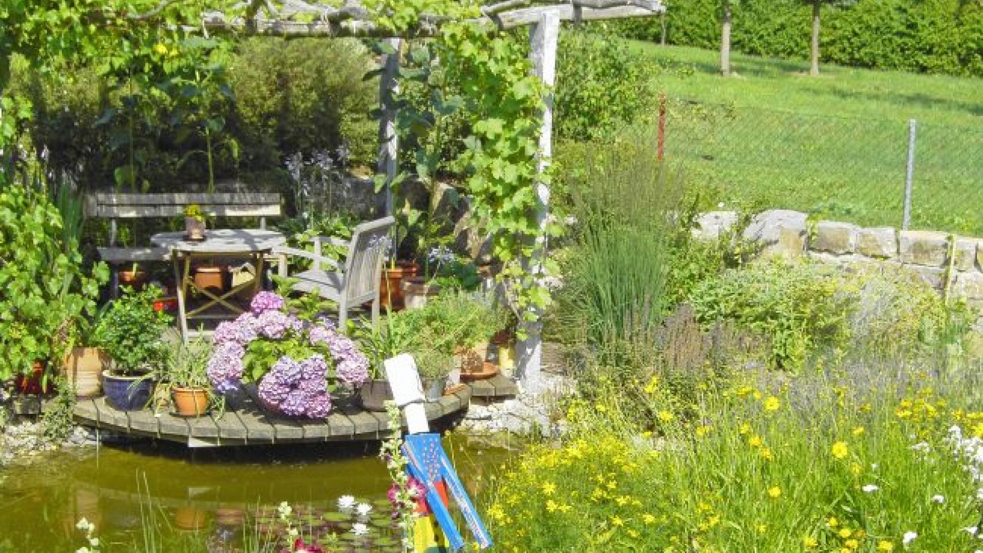 Thomas Krieg Ing. grad.