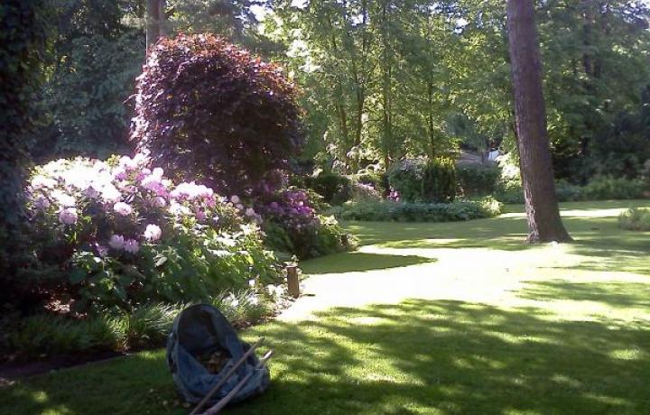 DAHLEM II - EIN MODERNER GARTEN  PRIVATGARTEN