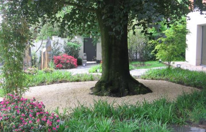 DAHLEM I - EIN JAPANISCH INSPIRIERTER GARTEN  VILLENGARTEN