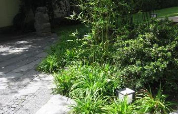 DAHLEM I - EIN JAPANISCH INSPIRIERTER GARTEN  VILLENGARTEN