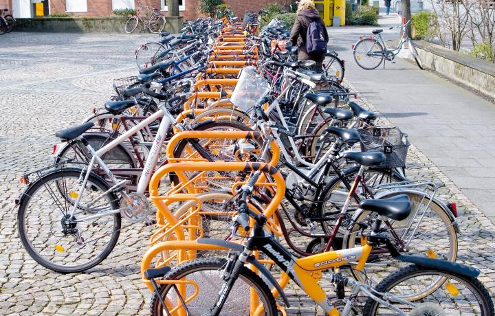 Fahrradparker BETA XXL