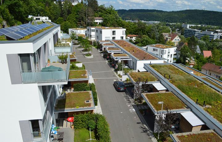 Optigrün international AG