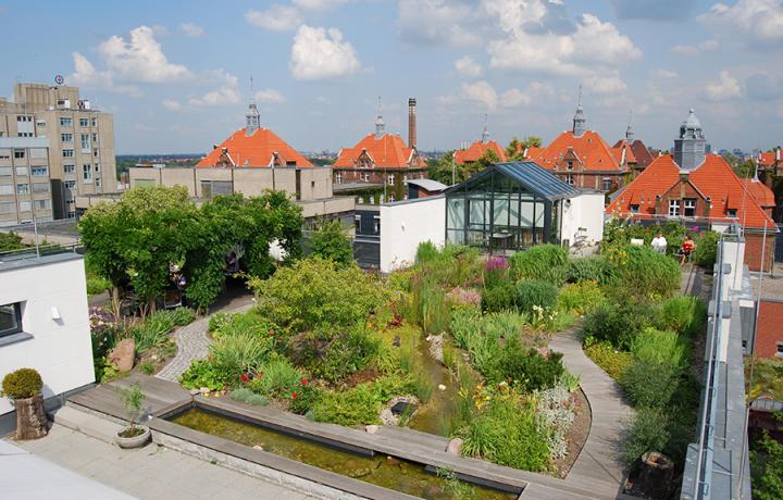 Optigrün international AG