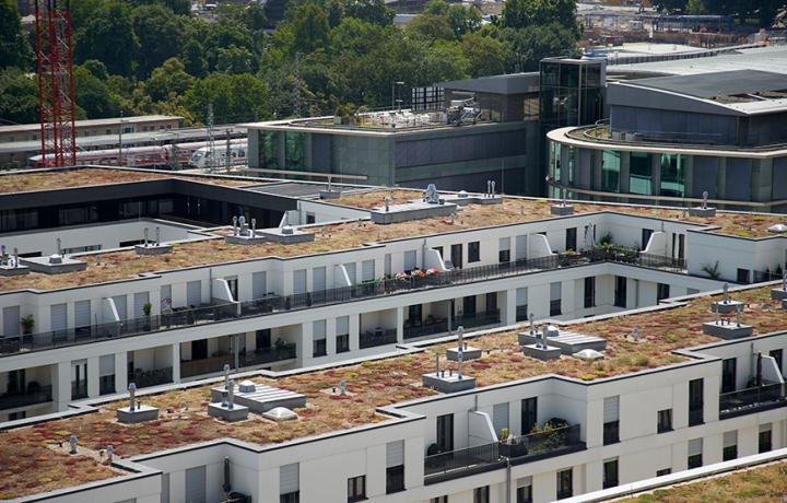 Optigrün international AG